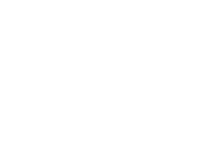 RoboStrategy
